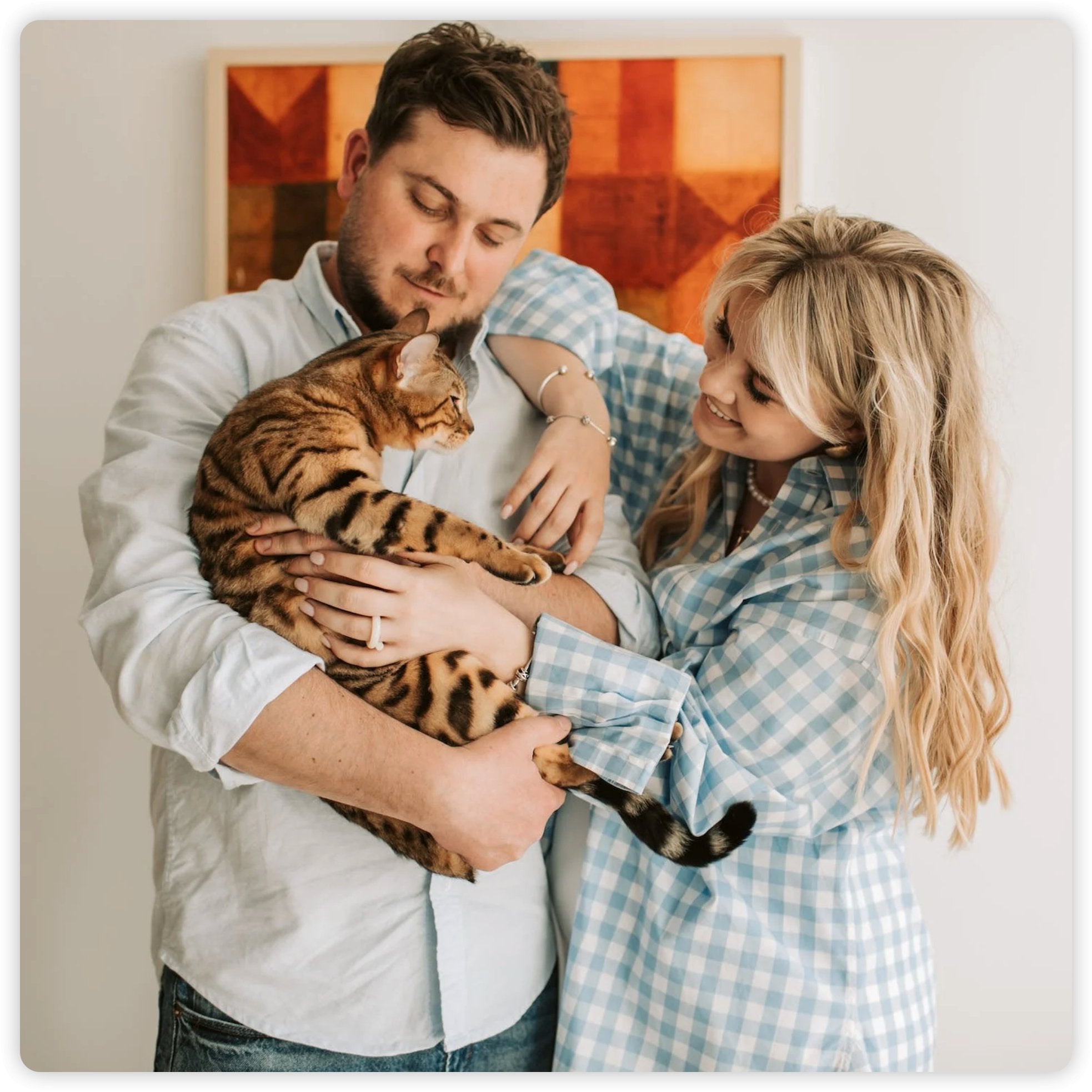 愛與優雅的日子:慶祝8/8貓咪日 - grantclassic