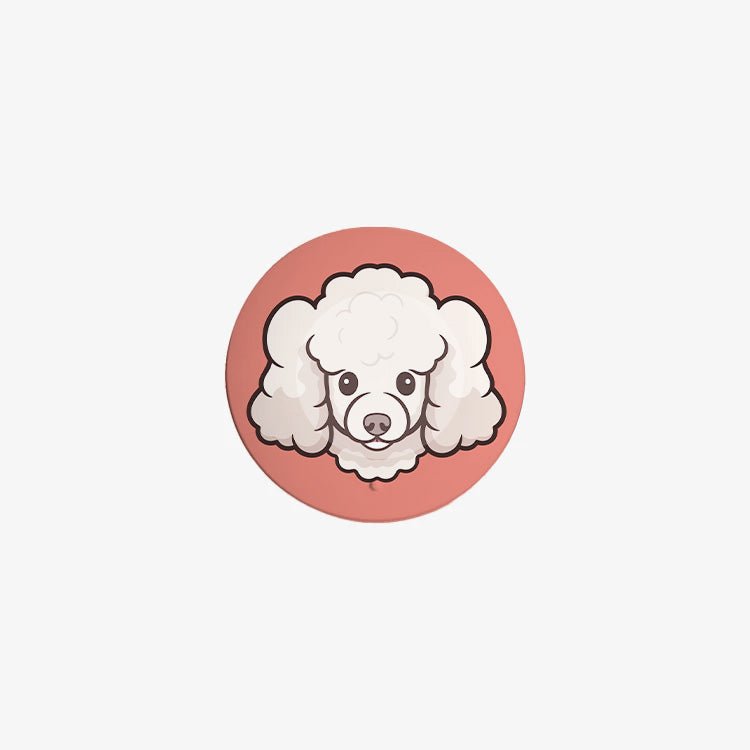 GC-Tag 找得到 - 雪白貴賓犬